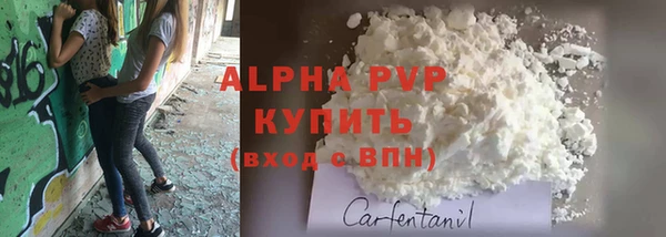 твердый Алексин