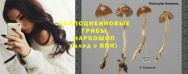 стафф Алзамай