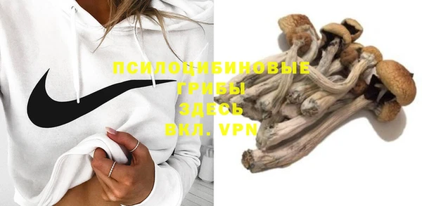стафф Алзамай