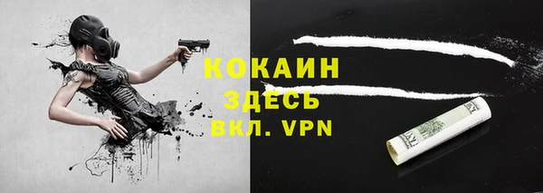 стафф Алзамай