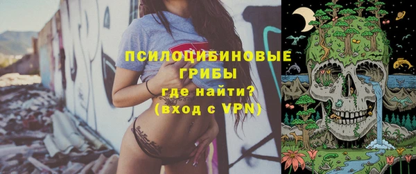 стафф Алзамай