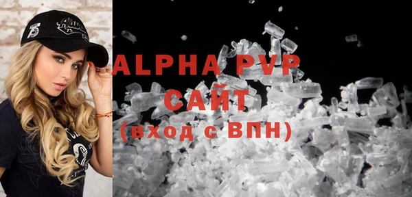 крисы Абаза