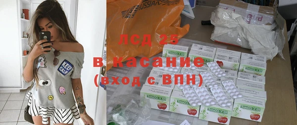стафф Алзамай
