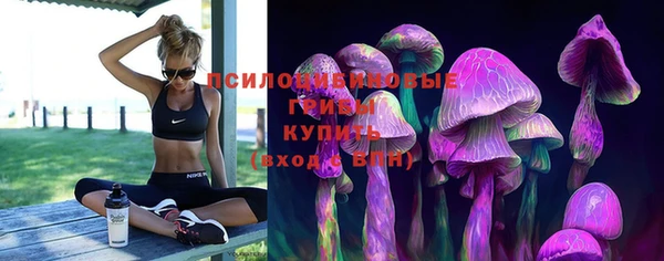 стафф Алзамай