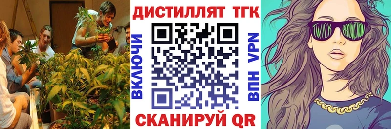ОМГ ОМГ ТОР  Чехов  Дистиллят ТГК вейп 